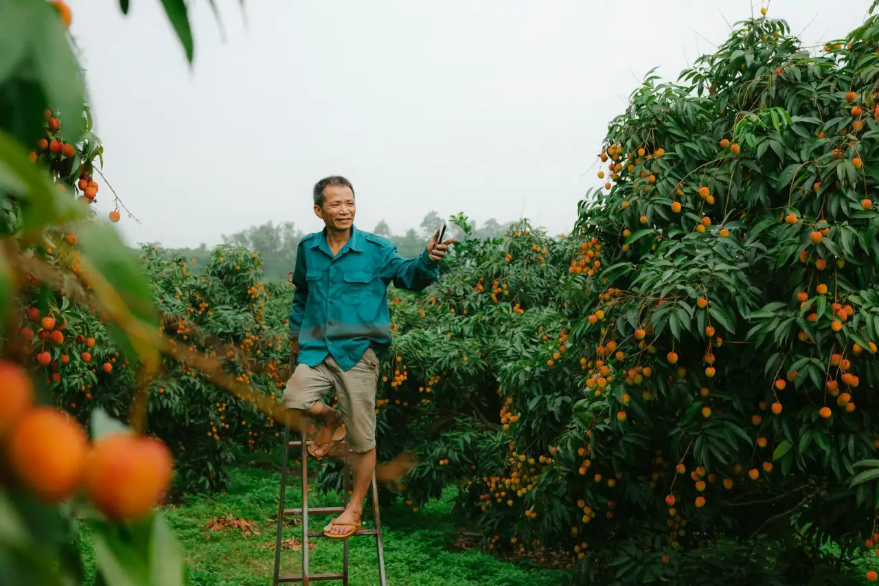 弱电施工中综合布线的线缆选型与敷设要点解析