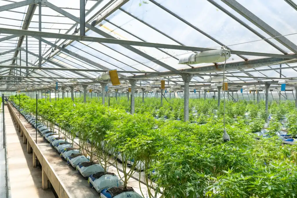昆明弱电施工常见桥架安装工艺与质量控制要点解析