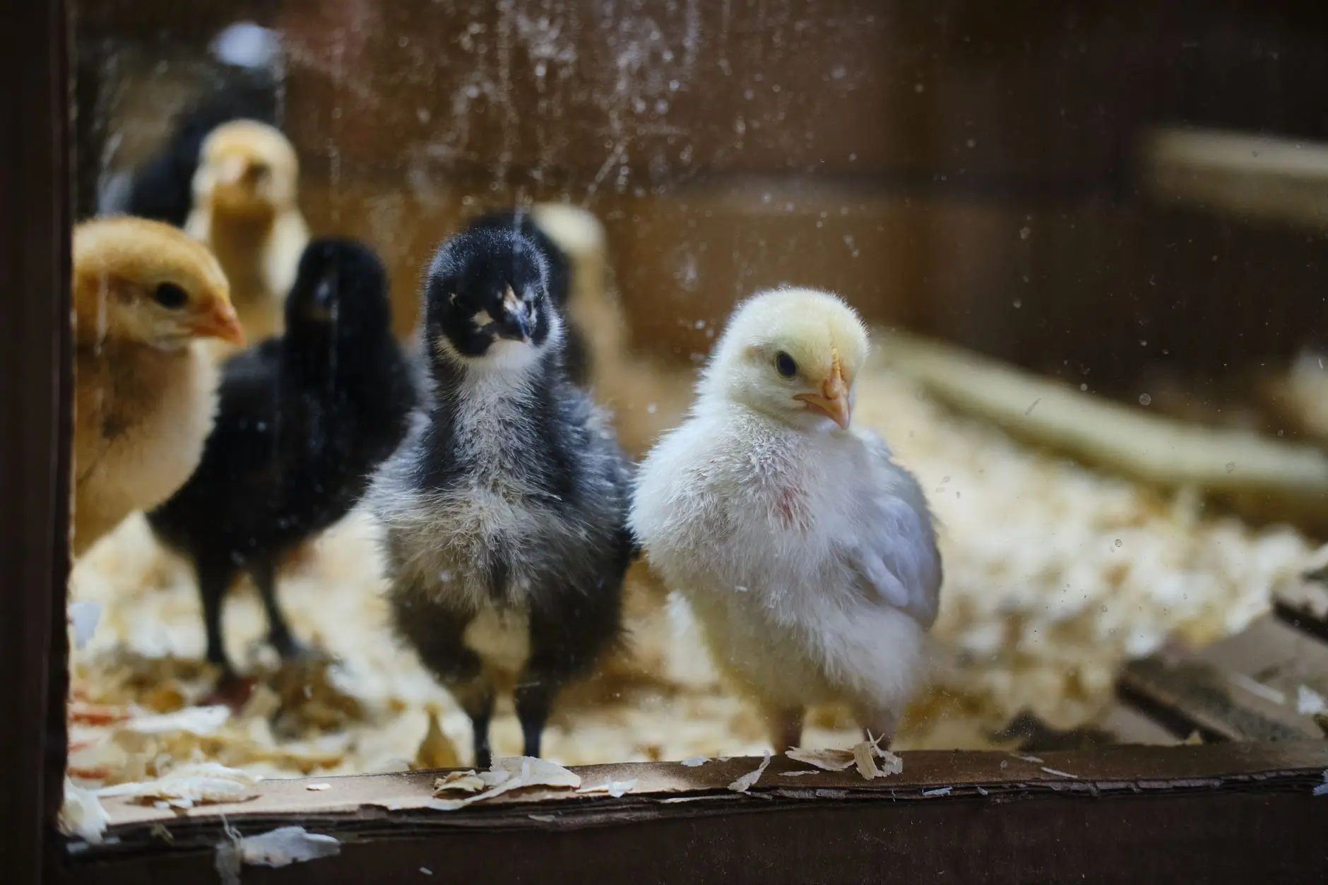 昆明弱电施工标准流程解析：从桥架安装到线路敷设全指南